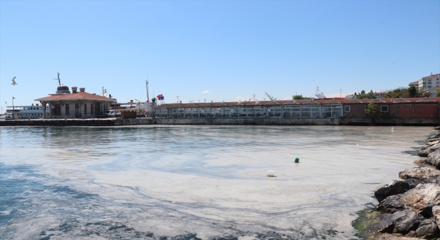 İstanbul’da müsilaj temizleme çalışmaları devam ediyor
