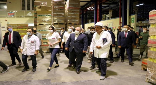 Bakan Varank, kepçe operatörlüğü yaparak Kırıkhan OSB’nin altyapı çalışmalarını başlattı: