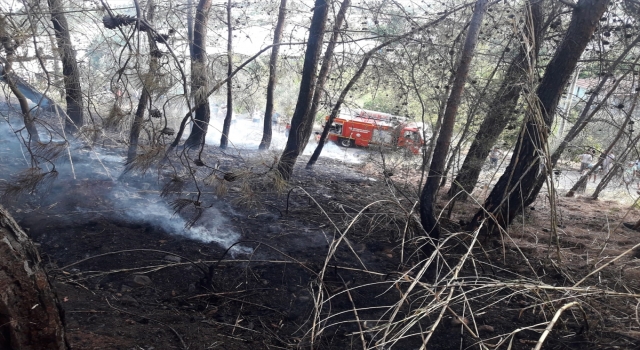 Fethiye’deki orman yangını söndürüldü