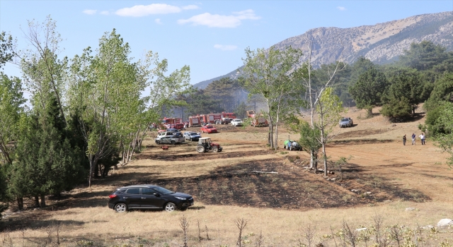 GÜNCELLEME 2 Denizli’de ormanlık alanda çıkan yangın kontrol altına alındı
