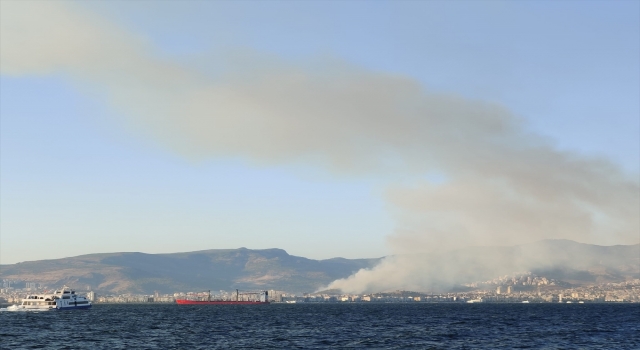 İzmir’in Karşıyaka ilçesinde orman yangını çıktı