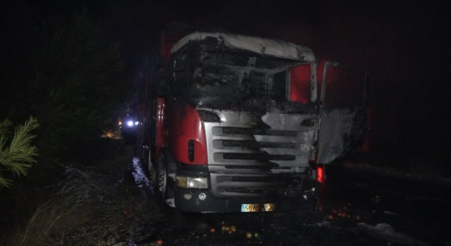 Mersin’de domates yüklü kamyonda çıkan yangın söndürüldü