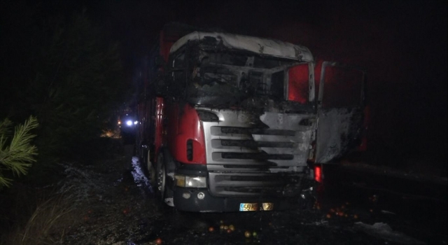 Mersin’de domates yüklü kamyonda çıkan yangın söndürüldü