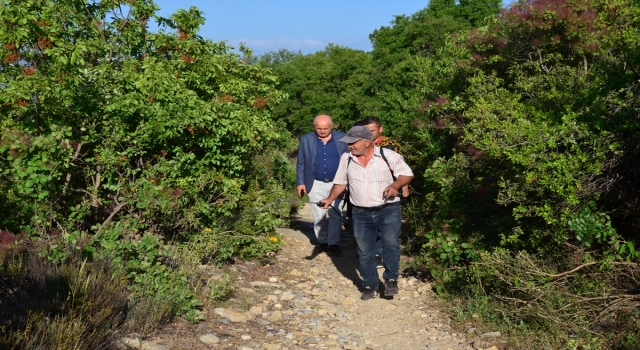 Antalya’da tarım arazilerine zarar veren çekirgelere karşı ilaçlama başlatıldı