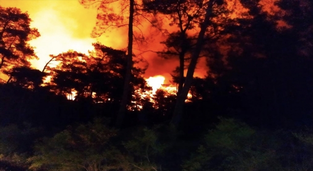 Marmaris’te orman yangını başladı