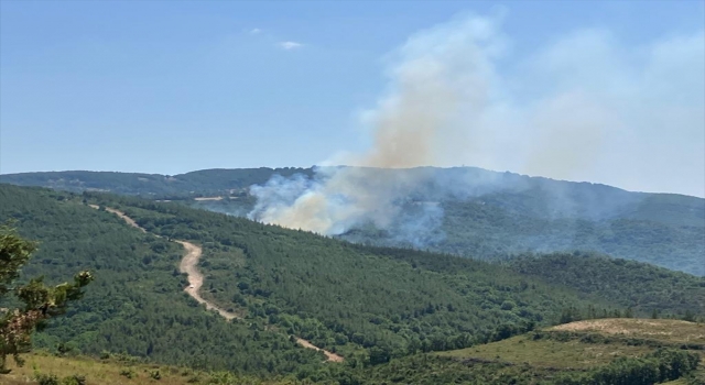 Çanakkale’de çıkan orman yangınına müdahale ediliyor