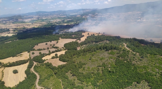Çanakkale’de çıkan orman yangınına müdahale ediliyor