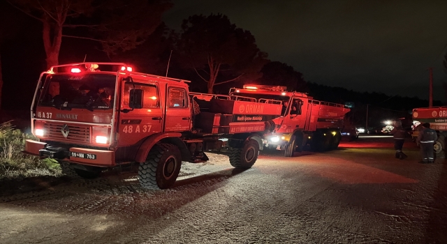 Denizli’de çıkan orman yangını kontrol altına alındı