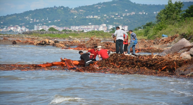 Giresun’da vatandaşlar derelerden denize sürüklenen odunları topladı
