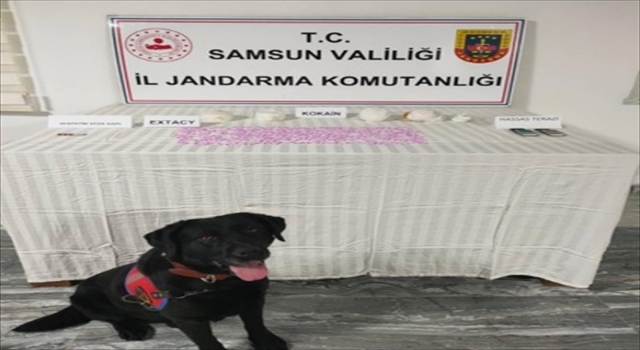 Samsun’da uyuşturucu operasyonunda bir zanlı tutuklandı