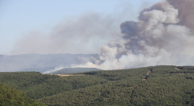 Tekirdağ’ın Malkara ilçesinde orman yangını