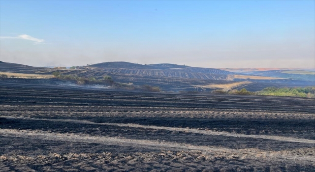 Tekirdağ’da 40 dönüm buğday ekili alan yandı
