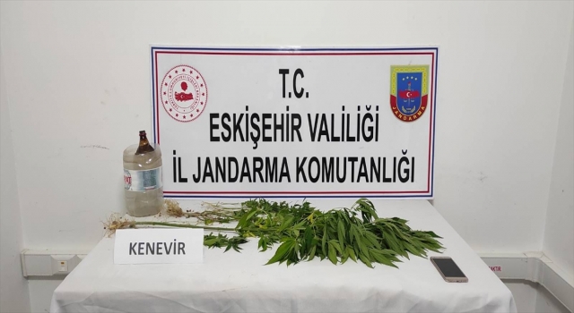 Eskişehir’de ilçe mezarlığına kenevir bitkisi ektiği iddia edilen zanlı yakalandı 