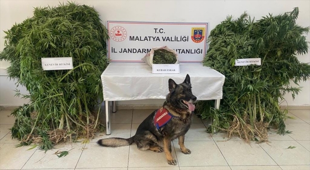 Malatya’da uyuşturucu operasyonunda yakalanan zanlı tutuklandı 