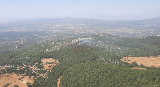 GÜNCELLEME Milas’ta ormanlık alanda çıkan yangın kontrol altına alındı