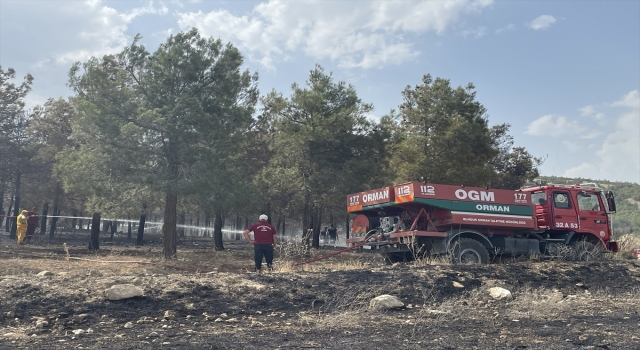 Isparta’da anız yangını ormanlık alana sıçradı