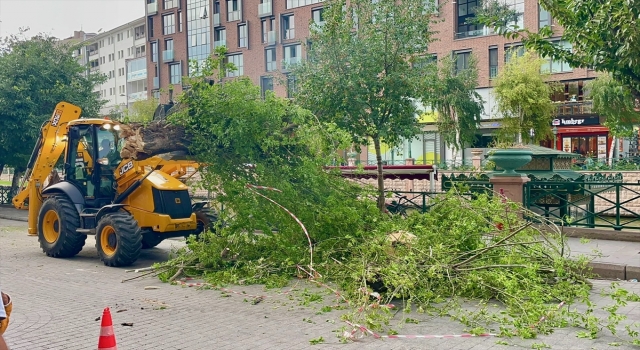 Eskişehir’de kuvvetli rüzgar ağacı devirdi