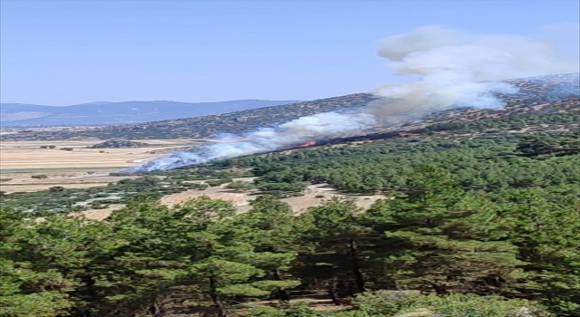 GÜNCELLEME Burdur’da hububat tarlasında çıkan ve ormana sıçrayan yangın kontrol altına alındı