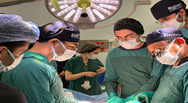 Alman ve ABD’li doktorlardan Başakşehir Çam ve Sakura Şehir Hastanesi’ne ziyaret