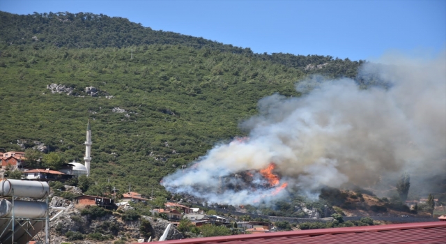 İzmir’in Kemalpaşa ilçesinde orman yangını çıktı
