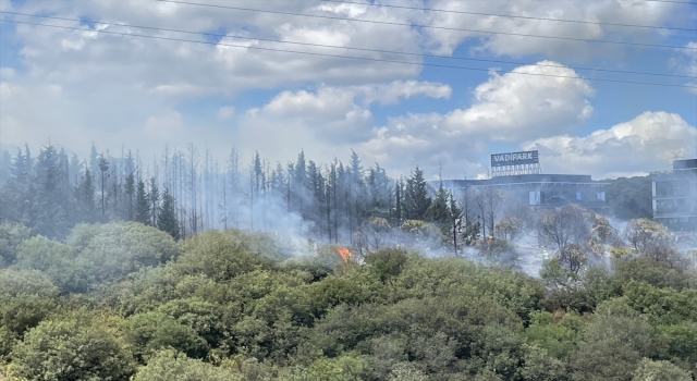 Kağıthane’de ormanlık alanda yangın çıktı 