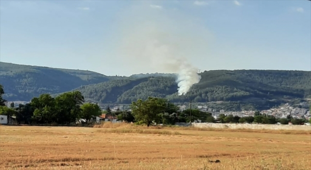 Muğla’da orman yangını çıktı
