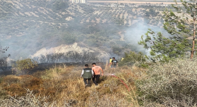 Hatay’da zeytinlik ve ormanlık alanda çıkan orman yangınına müdahale ediliyor