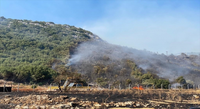 GÜNCELLEME Antalya’nın Kaş ilçesinde makilik alanda çıkan yangın kontrol altına alındı