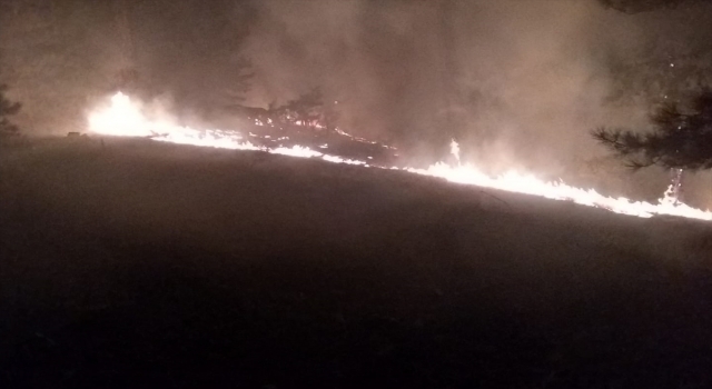 Köyceğiz’de çıkan orman yangınına müdahale ediliyor