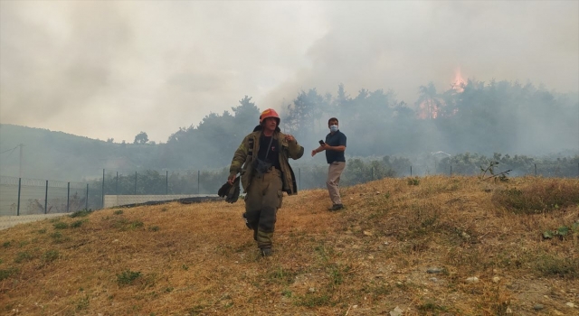 GÜNCELLEME Bursa’da çıkan orman yangınına müdahale ediliyor