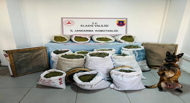 Elazığ ve Diyarbakır’da 241 kilogram esrar, 1230 kök Hint keneviri ele geçirildi