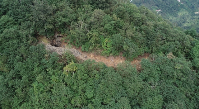 Trabzon’da define aramak için iş makinesiyle ormana yol açılmasıyla ilgili soruşturma
