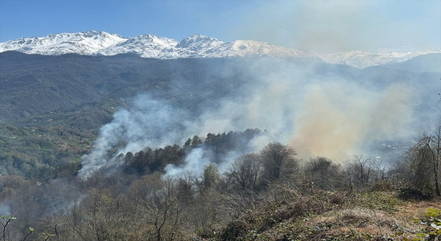 Artvin’de çıkan orman yangını kontrol altına alındı