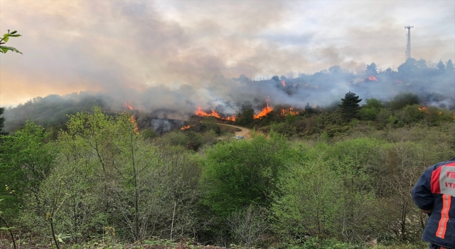 TrabzonGiresun sınırındaki örtü yangını kontrol altına alındı