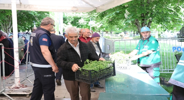 Kayseri’de Kocasinan Belediyesi 550 bin organik domates fidesi dağıttı