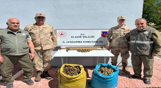 Elazığ’da 98,5 kilogram salep soğanını kaçak toplayan 4 kişi yakalandı