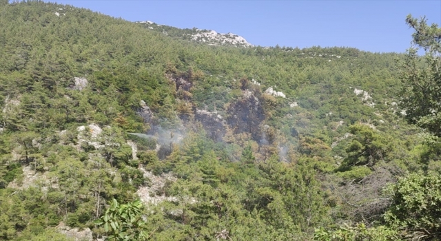 GÜNCELLEME Muğla’nın Milas ilçesinde çıkan orman yangını söndürüldü