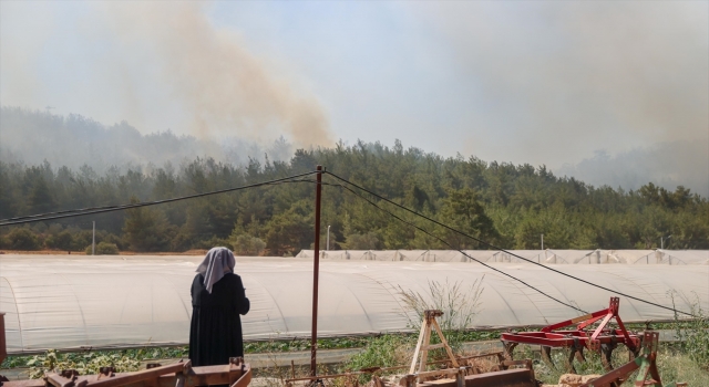 GÜNCELLEME 2 İzmir’de çıkan orman yangınına müdahale ediliyor