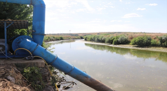 Tunca Nehri’nde kuraklık nedeniyle kontrollü sulamaya geçildi