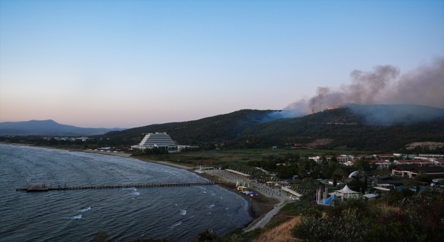 GÜNCELLEME 2 İzmir’in Selçuk ilçesinde orman yangını çıktı