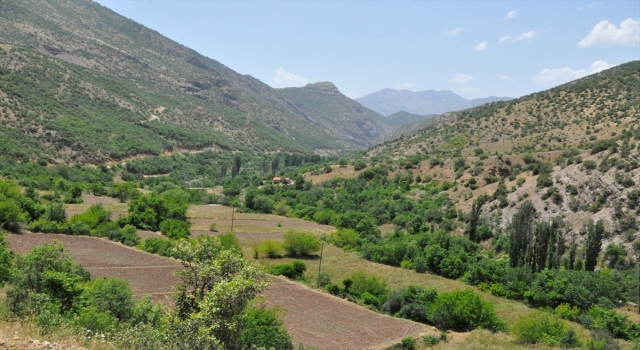 Hakkari’de terör nedeniyle boşaltılan köyler yeniden yerleşime açılacak