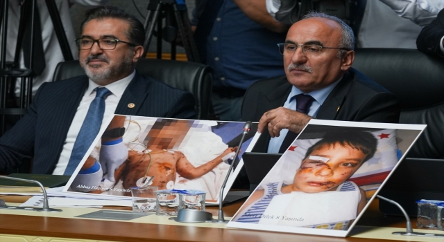 Sahipsiz hayvanlara yönelik kanun teklifi Tarım, Orman ve Köyişleri Komisyonunda 