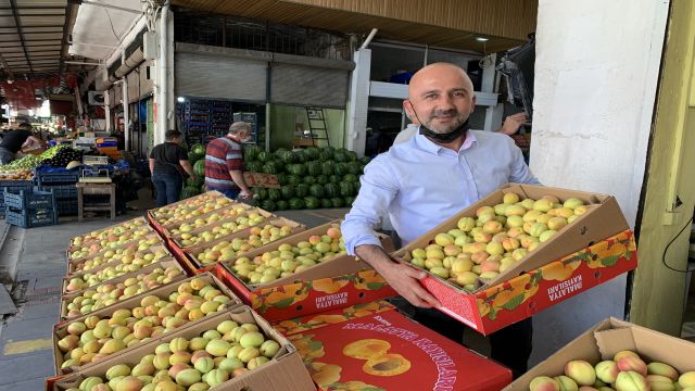 Malatya'da sezonun ilk kayısı çağlaları pazara çıktı